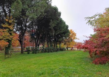 Giardino - Terreno edificabile Busto Arsizio - foto 9