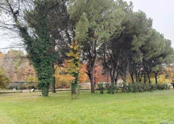 Giardino - Terreno edificabile Busto Arsizio - foto 10