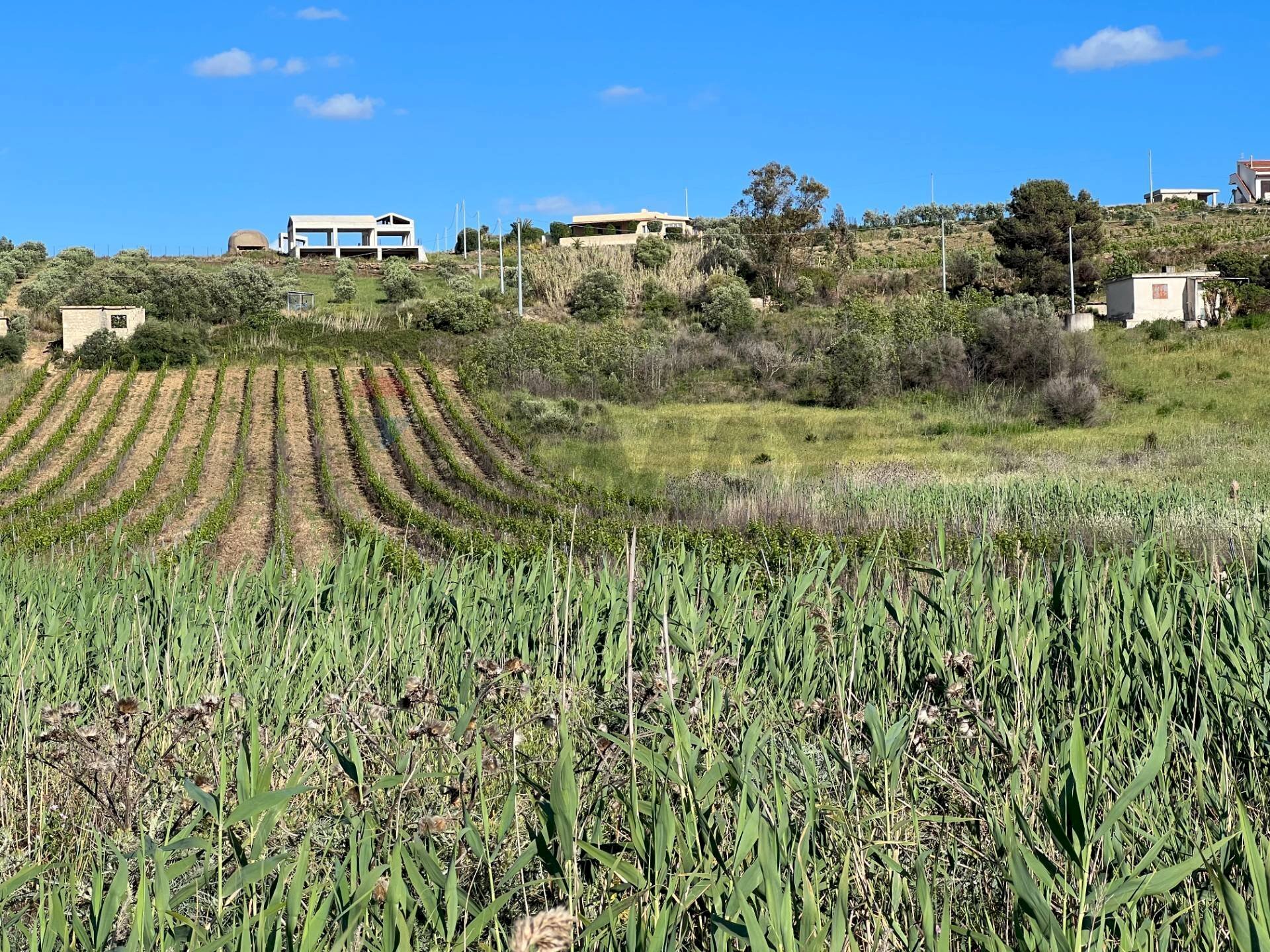 Vista delle montagne - Building land Belice mare, Castelvetrano - photo 3