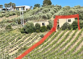 Giardino - Terreno edificabile Belice mare, Castelvetrano - foto 5