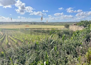 Vista delle montagne - Terreno edificabile Belice mare, Castelvetrano - foto 8