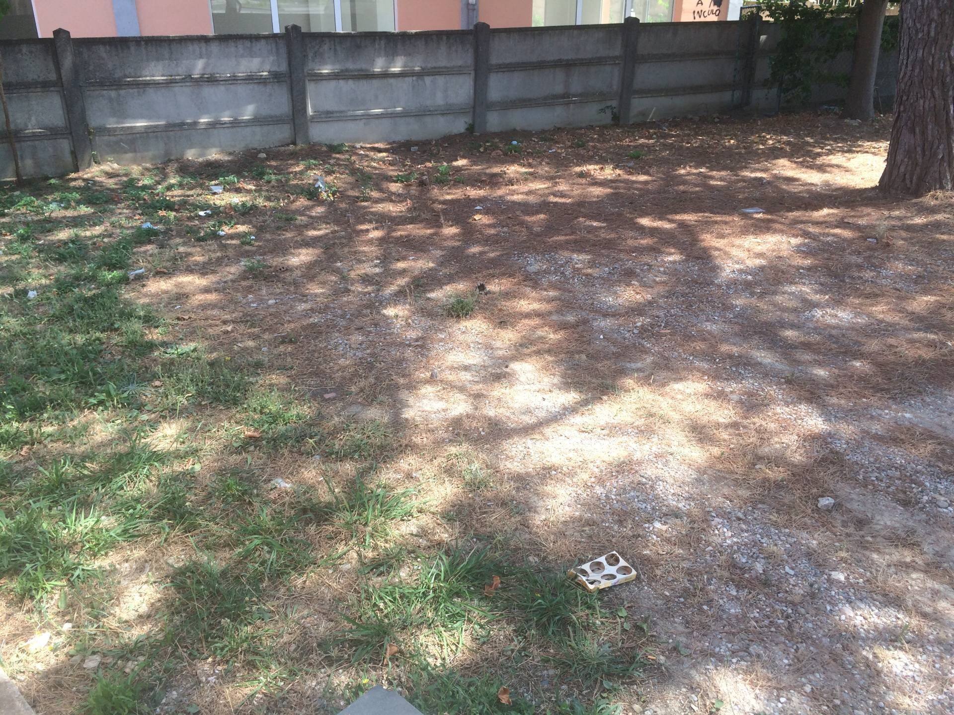 Foto 2 - Attività Commerciale via umberto terracini
 
22, Cascina - foto 2