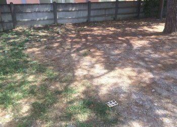 Foto 2 - Commercial Activity via umberto terracini
 
22, Cascina - photo 2