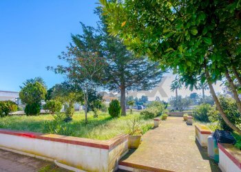 Giardino - Villa Strada Gianfelice
 
52, Martina Franca - foto 16