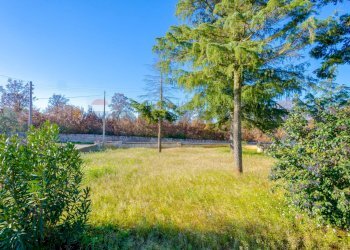 Giardino - Villa Strada Gianfelice
 
52, Martina Franca - foto 18