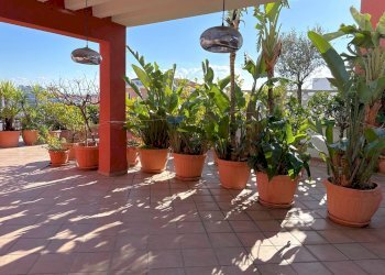 Foto 17 - Attico Via Vittorio Malcangi
 
99, Trani - foto 17