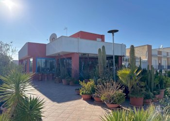 Foto 24 - Attico Via Vittorio Malcangi
 
99, Trani - foto 24