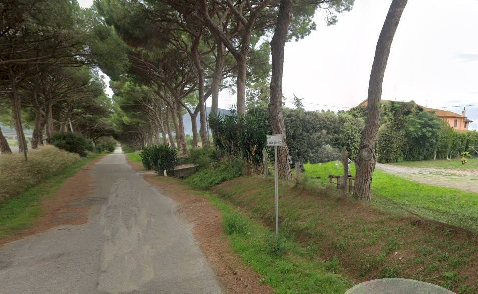 Foto 1 - Farm Grosseto - photo 1