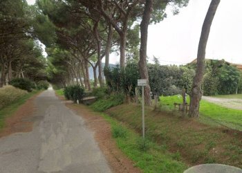 Foto 1 - Farm Grosseto - photo 1