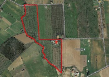 Foto 1 - Farm Grosseto - photo 1