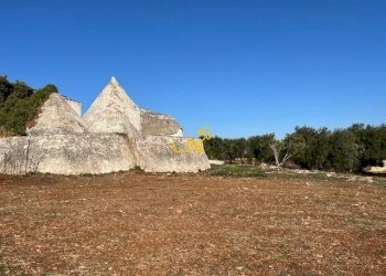 Foto 11 - Rustico SP23, Ceglie Messapica - foto 11