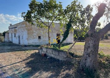 Foto 16 - Rustico SP23, Ceglie Messapica - foto 16