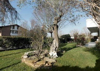 camera - Appartamento delle Camelie, Cervia - foto 6