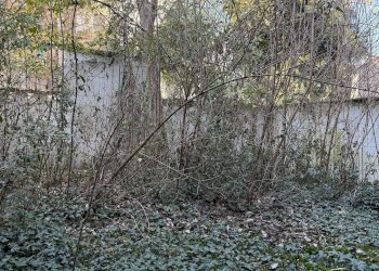 Foto 4 - Appartamento Mantova - foto 4