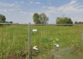 Immagine 2026-01-15 165733.jpg - Terreno agricolo via bodrio, Monticelli d'Ongina - foto 3