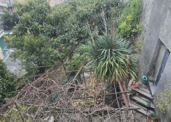 Villa a Schiera VIA RAVASCHIO, Genova (zona Sestri Ponente) - foto 11