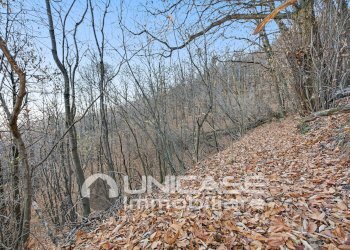 Rustico via Vista, 43, Lusernetta - foto 19