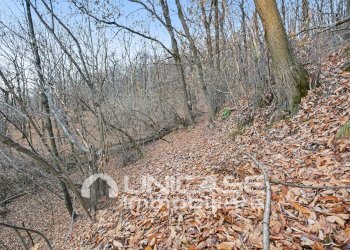 Rustico via Vista, 43, Lusernetta - foto 20