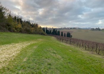 Agricultural land Imola - photo 6