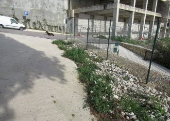 Foto 40 - Apartment Via Dietro Le Mura
 
17, Spoltore - photo 40