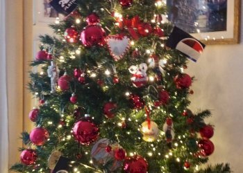 Dettagli - Trilocale Viale A.Aldisio
 
204, Bronte - foto 6