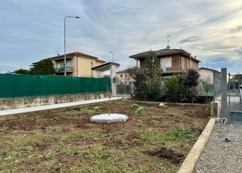 Giardino - Casa semi indipendente Lallio - foto 32