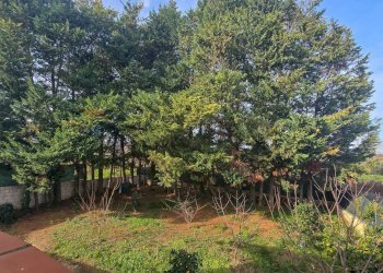 TERRENO - Villa Contrada san Pantaleone Piane
 
162, Miglianico - foto 6