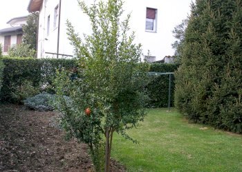 Giardino - Villa VIA LONGONI
 
14, Palazzago - foto 16