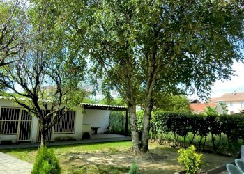 Giardino - Villa via BEATO PACIFICO, Novara - foto 3