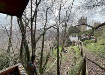 Giardino - Casa semi indipendente Aia Landi
 
13, Bagni di Lucca - foto 64