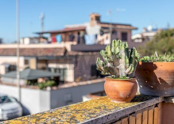 Dettagli - Three-room apartment Via Carlo Fecia di Cossato, Fiumicino - photo 50