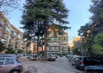 Foto 15 - Quadrilocale Via Eleuterio Ruggiero, Caserta - foto 15