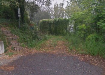 Giardino - Terreno agricolo Robbiate - foto 2