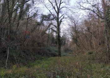 Giardino - Terreno agricolo Località Pont de Fer - Breda, Fregona - foto 4