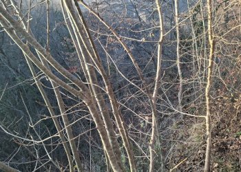 Posizione della mappa - Terreno agricolo Località Pont de Fer - Breda, Fregona - foto 7