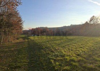 Giardino - Terreno agricolo Località Pont de Fer - Breda, Fregona - foto 9