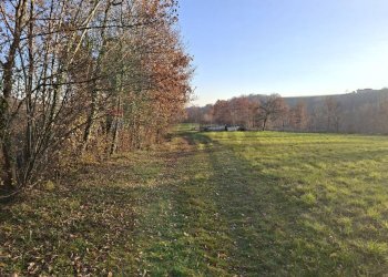 Giardino - Terreno agricolo Località Pont de Fer - Breda, Fregona - foto 10