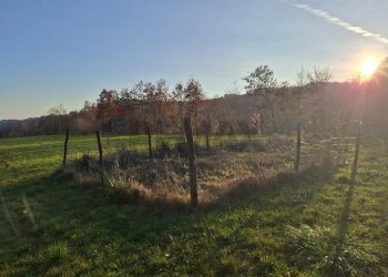 Giardino - Terreno agricolo Località Pont de Fer - Breda, Fregona - foto 13