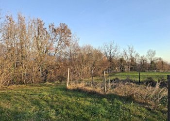 Giardino - Terreno agricolo Località Pont de Fer - Breda, Fregona - foto 15