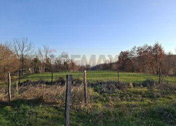 Giardino - Terreno agricolo Località Pont de Fer - Breda, Fregona - foto 16