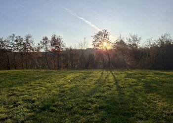 Giardino - Terreno agricolo Località Pont de Fer - Breda, Fregona - foto 17