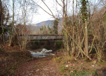 Giardino - Terreno agricolo Località Pont de Fer - Breda, Fregona - foto 19