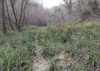 Giardino - Terreno agricolo Località Pont de Fer - Breda, Fregona - foto 20