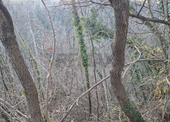Posizione della mappa - Terreno agricolo Località Pont de Fer - Breda, Fregona - foto 21