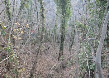 Posizione della mappa - Terreno agricolo Località Pont de Fer - Breda, Fregona - foto 22