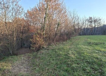 Giardino - Terreno agricolo Località Pont de Fer - Breda, Fregona - foto 26