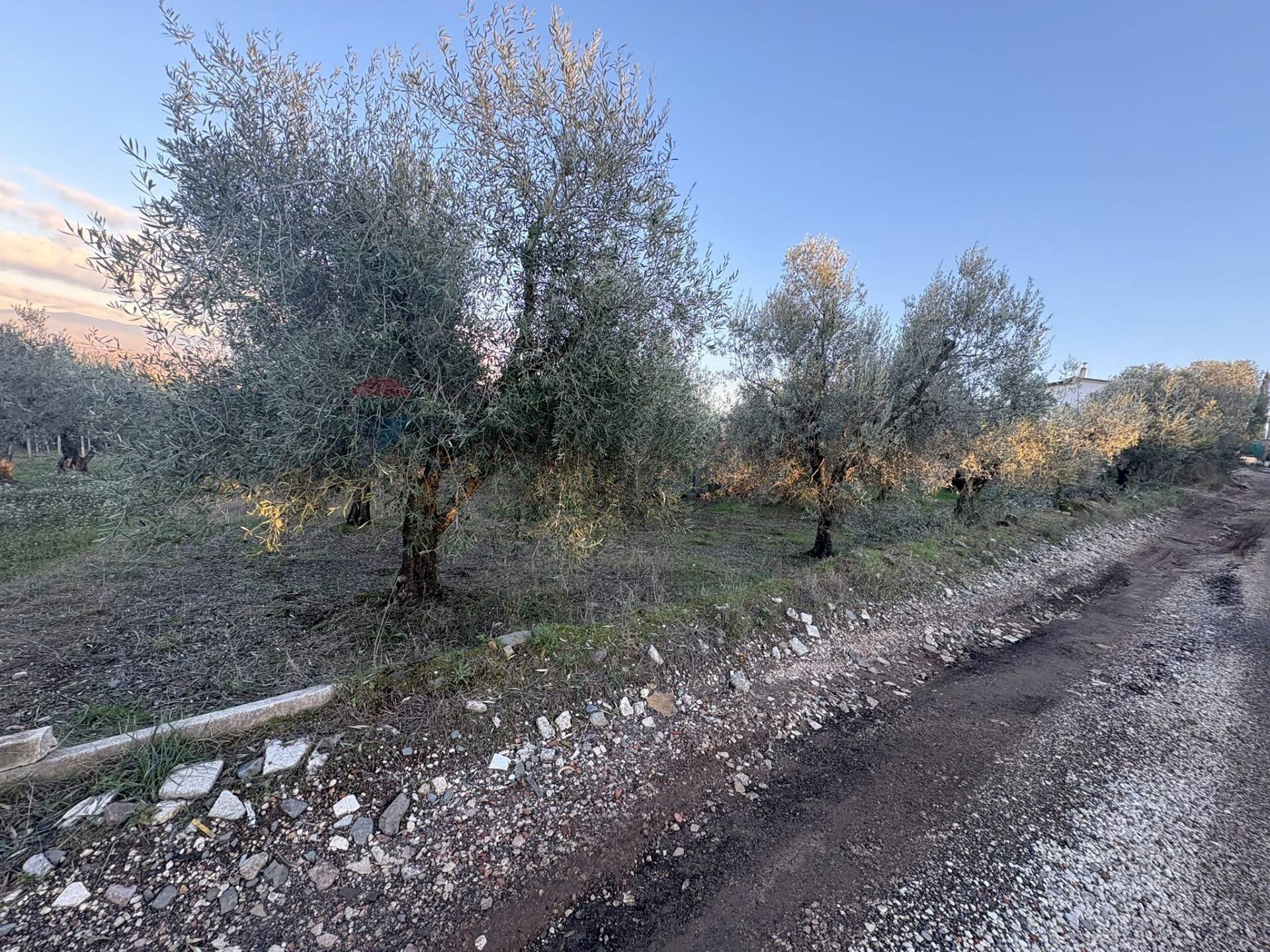 Vista dell\'acqua - Terreno agricolo Via Dei Sassi, Roma - foto 1