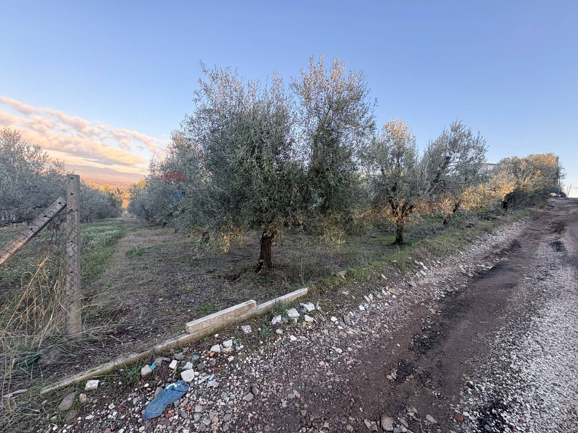 Vista dell\'acqua - Terreno agricolo Via Dei Sassi, Roma - foto 2