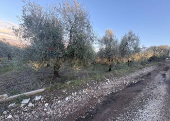 Vista dell\'acqua - Terreno agricolo Via Dei Sassi, Roma - foto 1