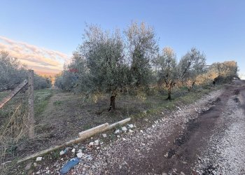 Vista dell\'acqua - Terreno agricolo Via Dei Sassi, Roma - foto 2